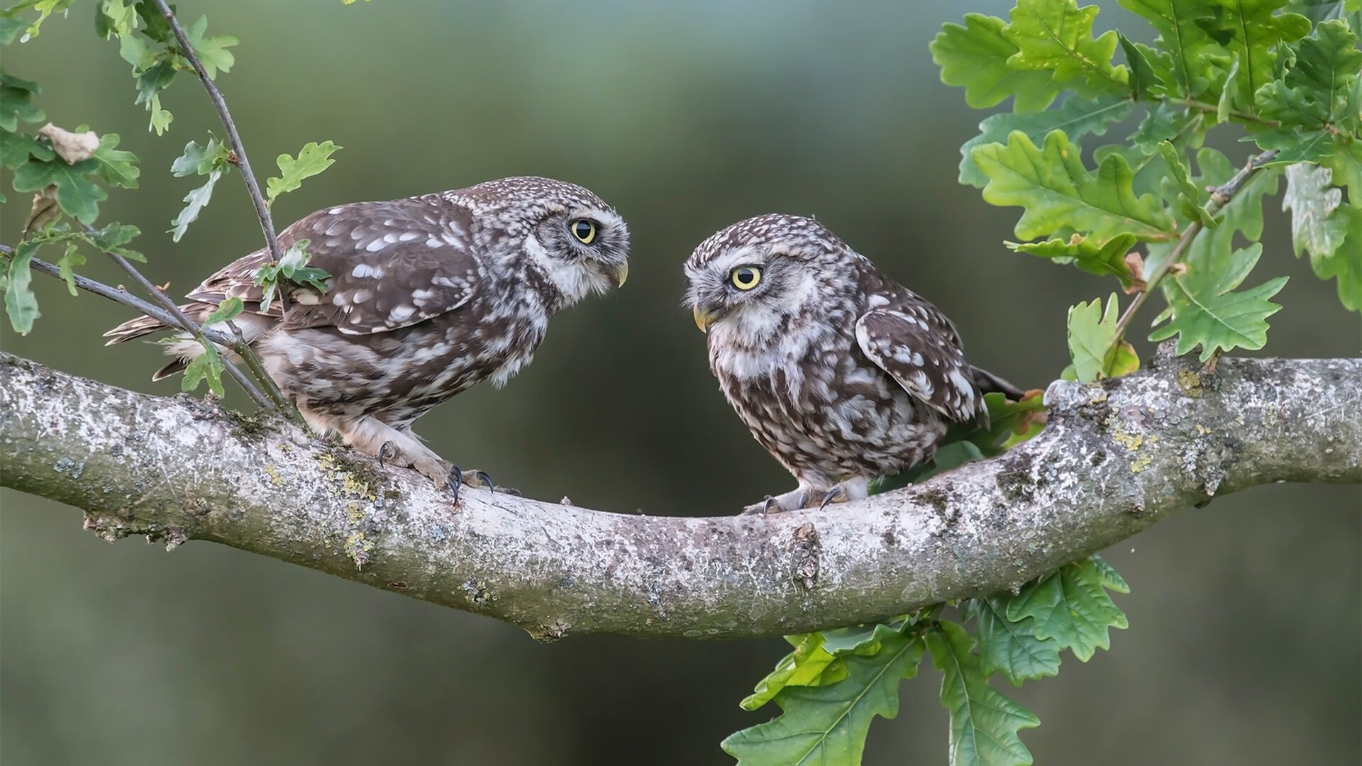 中国男篮注重团队沟通 提高场上协作效率,中国男篮最团结的一次