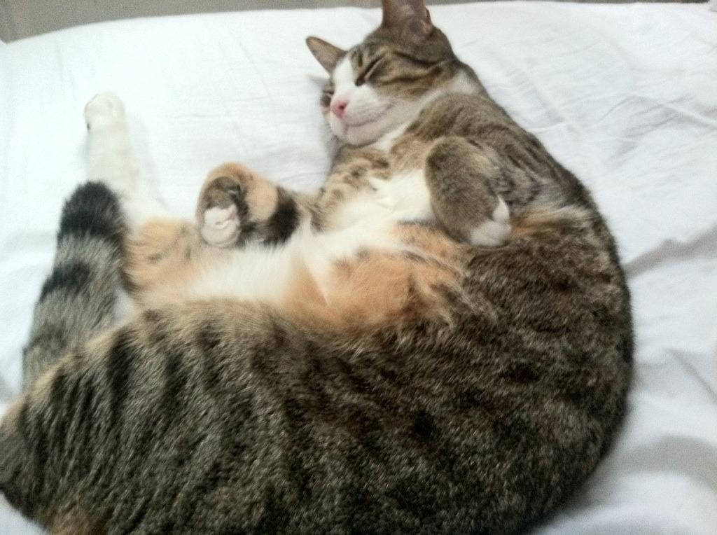 五大联赛门将指挥防线能力是否影响整场防守连贯性，门将防守犯规