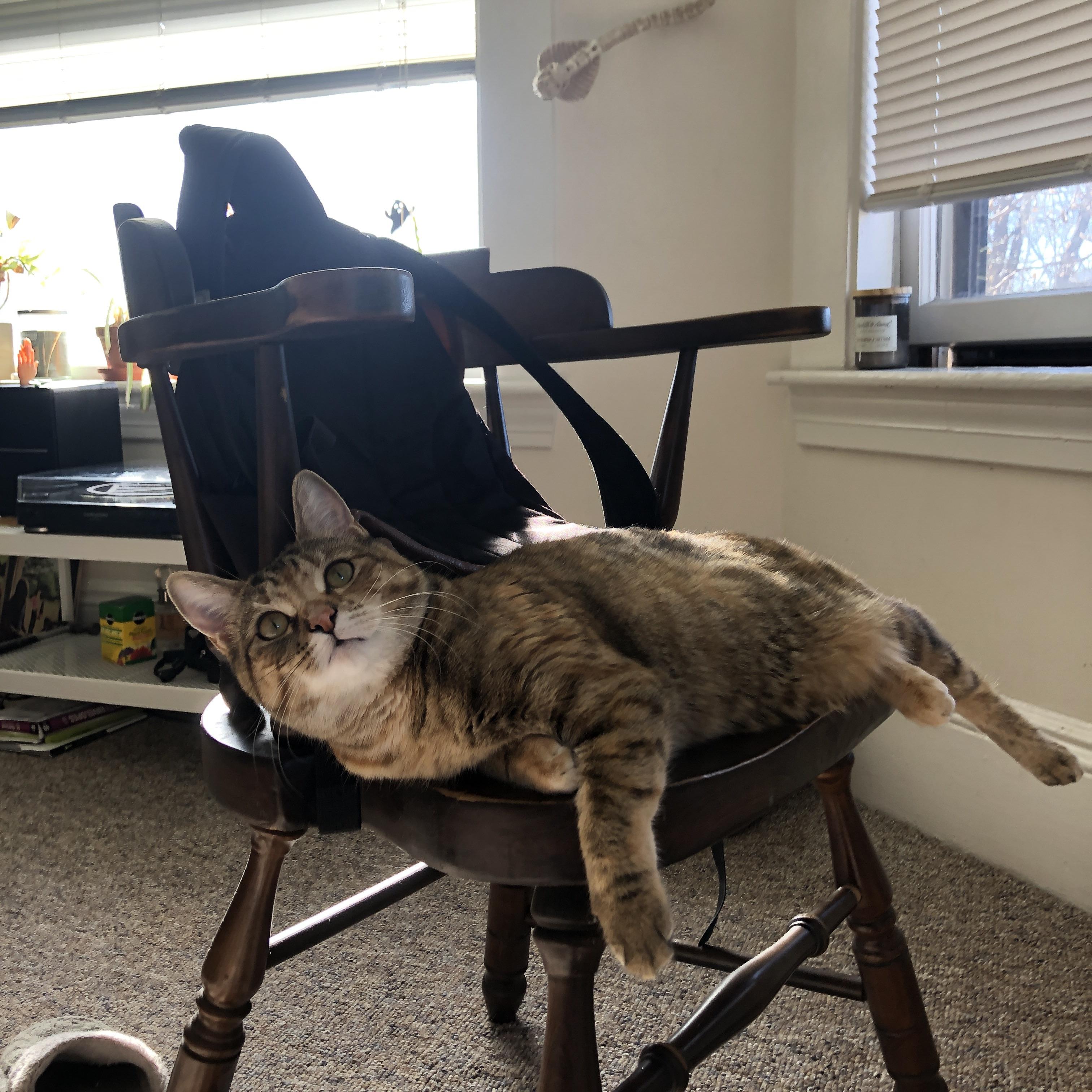 女子短自项目稳扎稳打,女子短跑训练方法