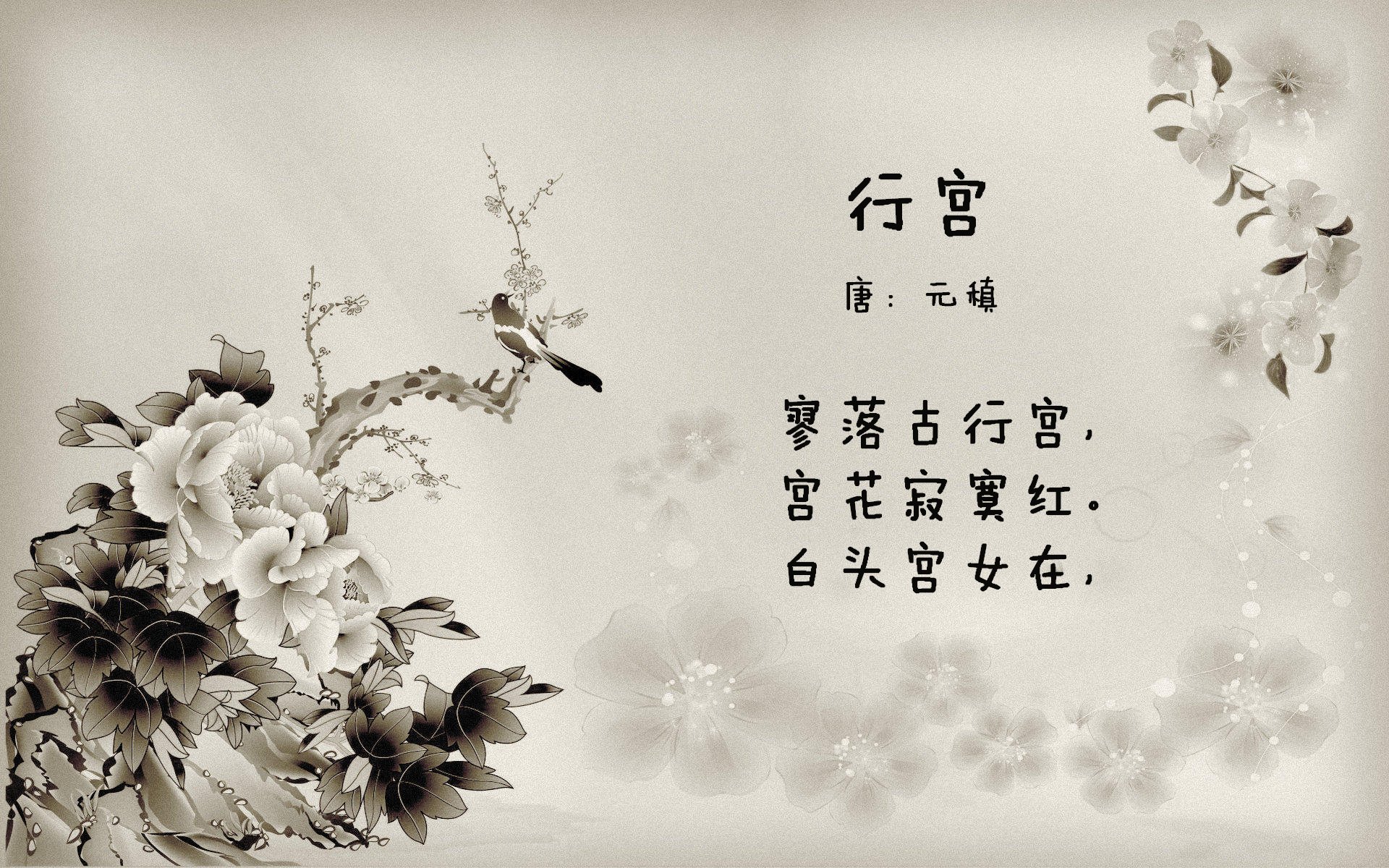 乐鱼体育平台官网-“帕布罗·马特拉的全能防守，助美洲狮队在全球橄榄球赛场中脱颖而出”