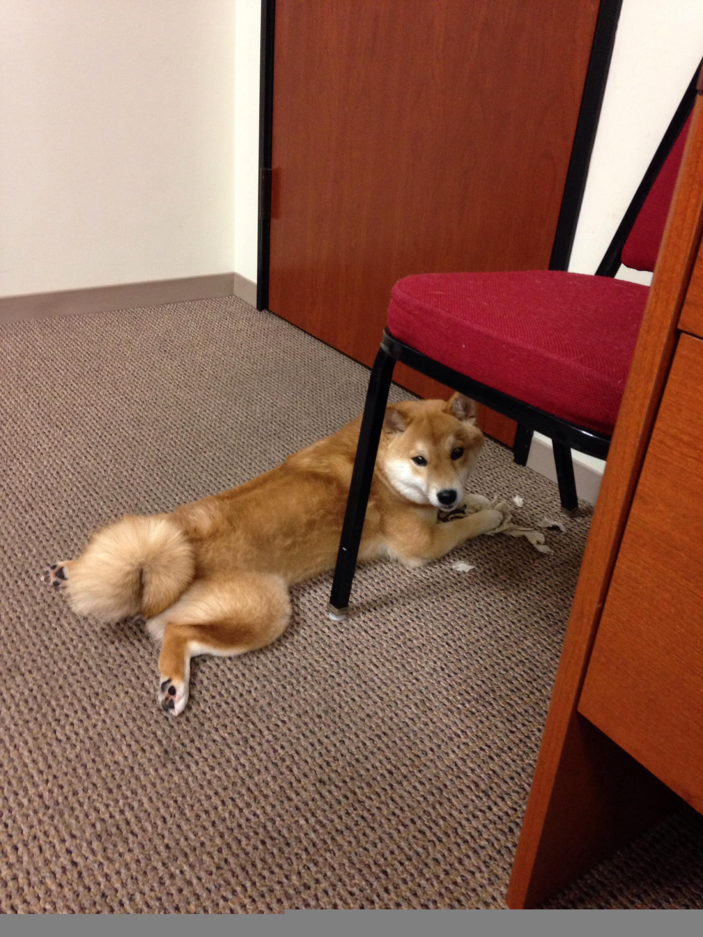 leyu乐鱼-万乐天精准起跳成赛场亮点，万乐游乐