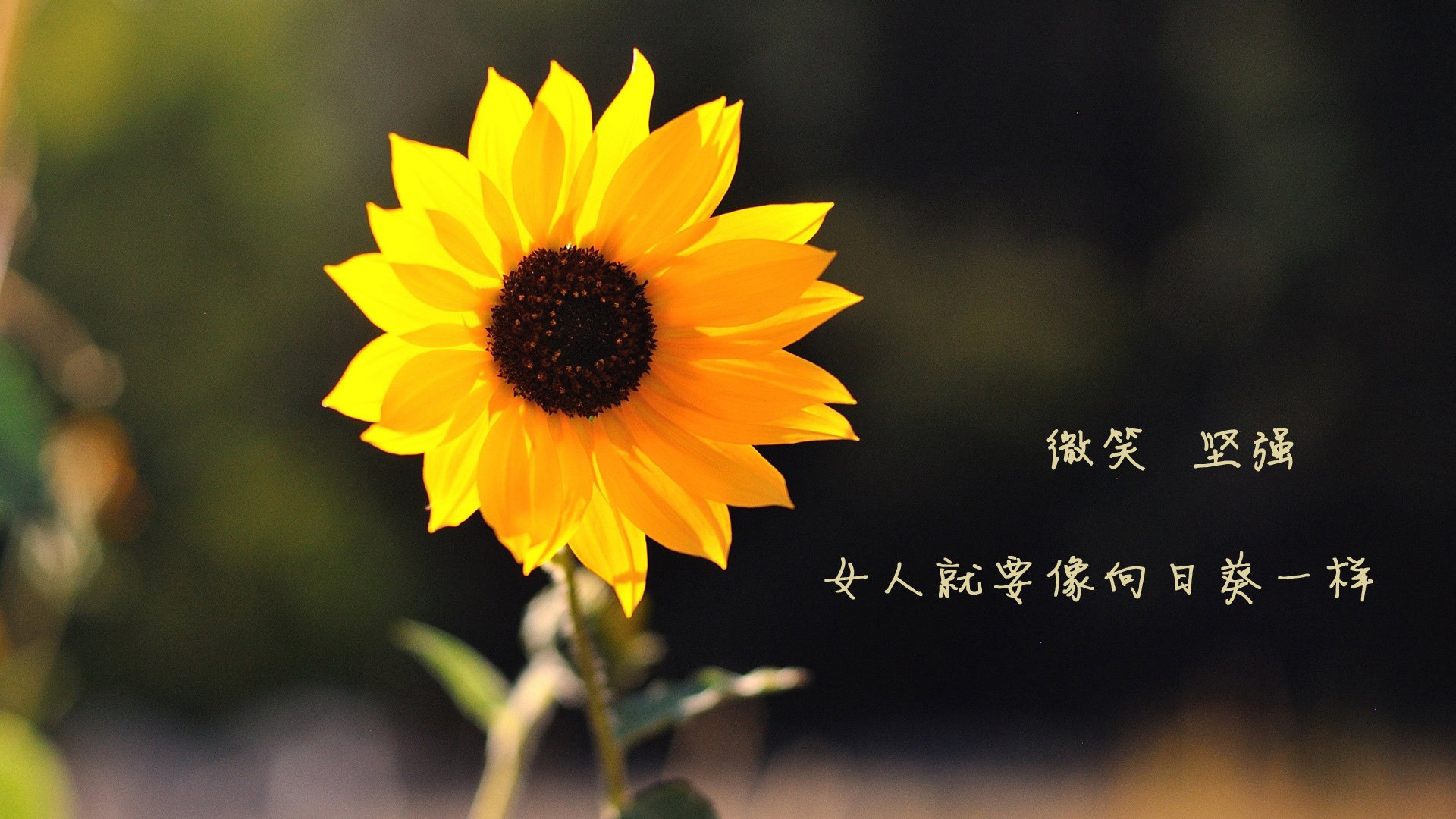 乐鱼app-中学篮球课程加入技战术基础模块推动教学内容标准化，初中篮球教学中基础技术有哪些