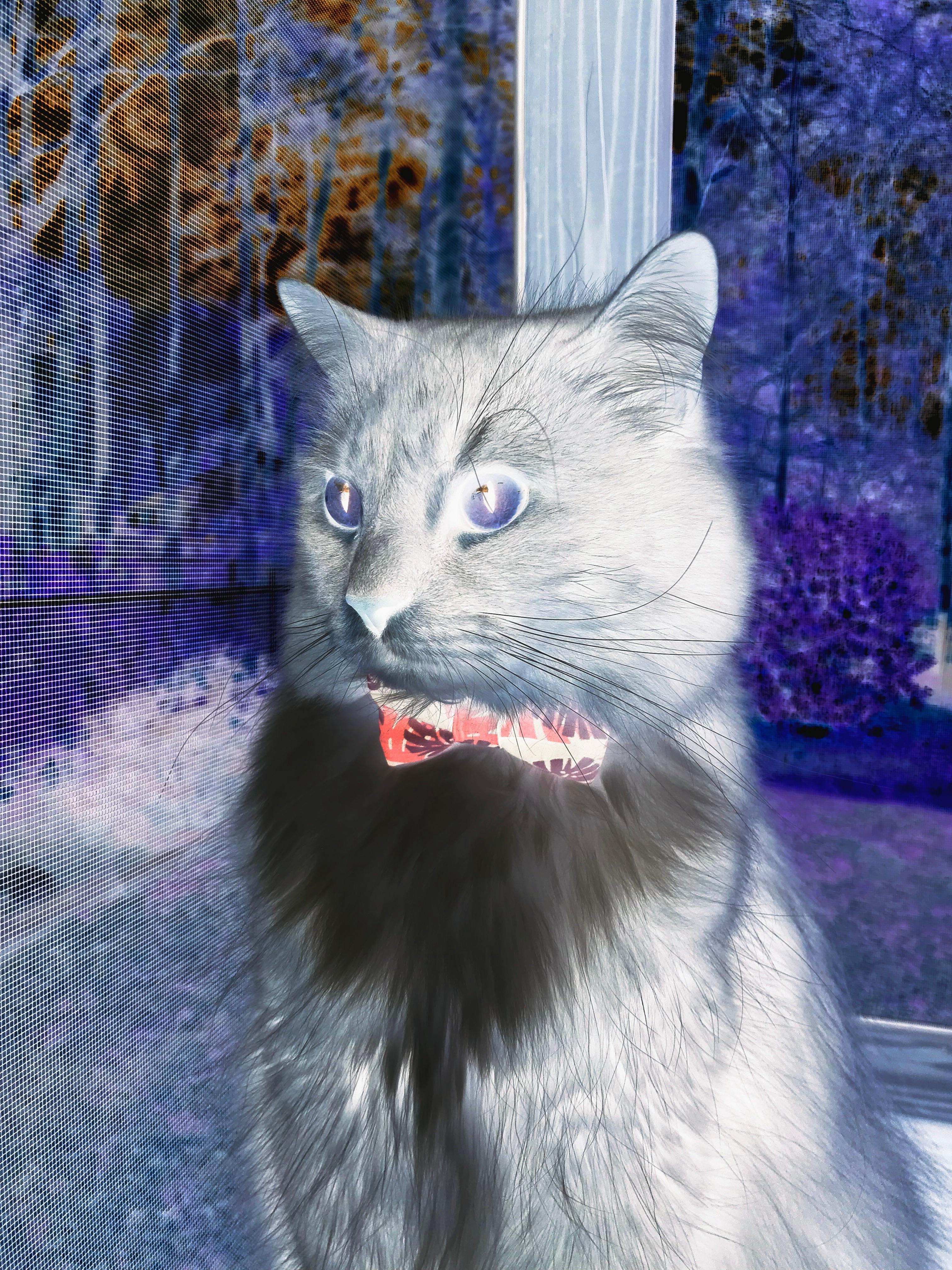 乐鱼电竞· (中国)官方网站-国家队全面提升防守体系制定个性化训练计划，足球个人防守战术不包含