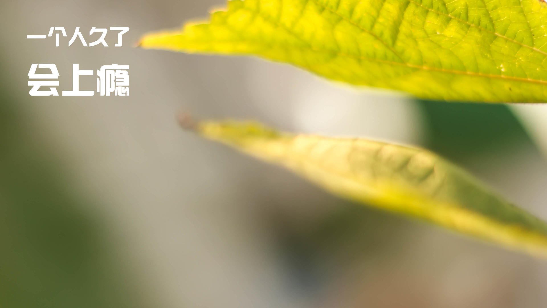 乐鱼app-德甲青训培训体系创新，德甲青训政策