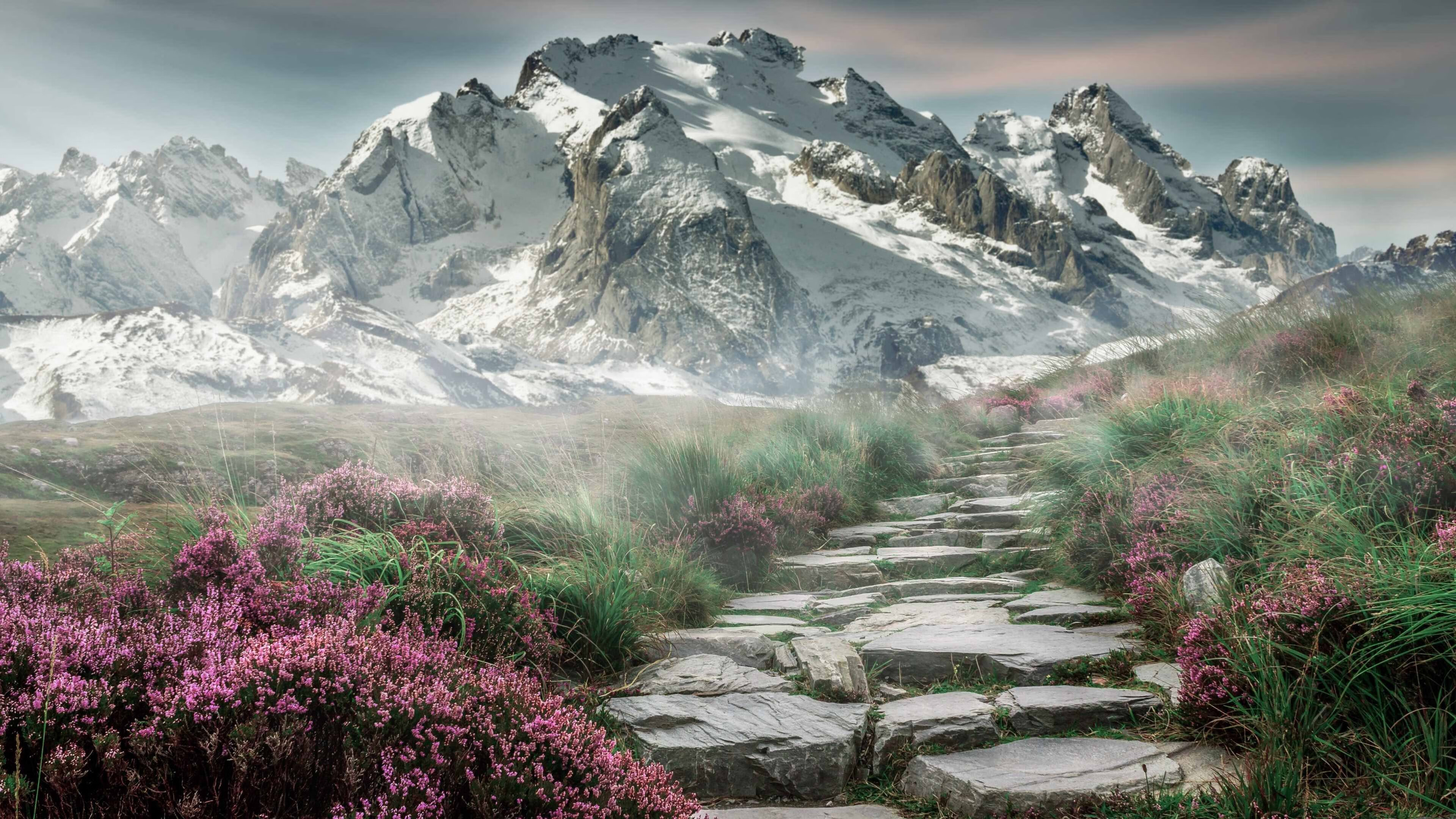 乐鱼官网-朱婷向球迷致谢希望下场表现更好，朱婷发文回应