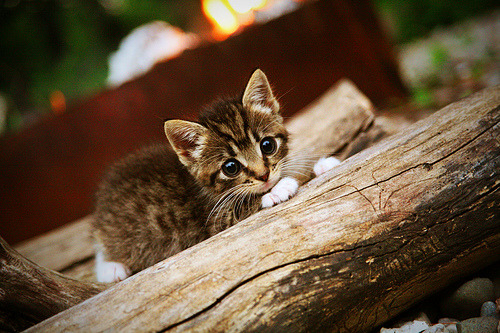 法甲宿敌激战:攻守之间的精彩博弈,法甲宿敌激战_攻守之间的精彩博弈是什么