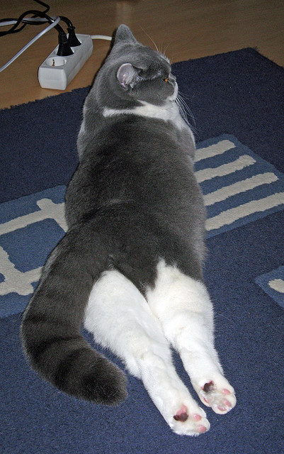 法甲高潮迭起:精彩配合不断刷新纪录,法甲激烈