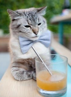 赛季收官阶段排位形势愈加复杂每场比赛皆为生死战，赛季完美收官