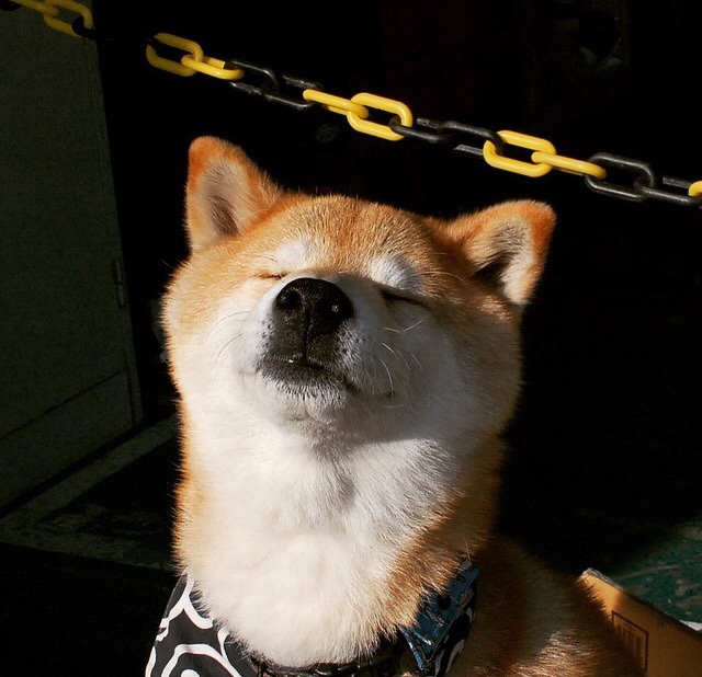 赛季收官阶段排位形势愈加复杂每场比赛皆为生死战，赛季完美收官