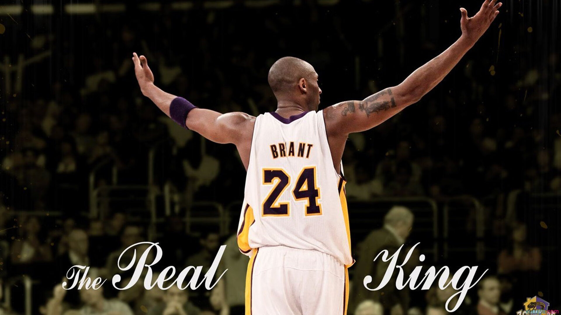 最疯狂扣篮时刻，最疯狂扣篮时刻视频